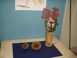 「秋の訪れ.*」の写真