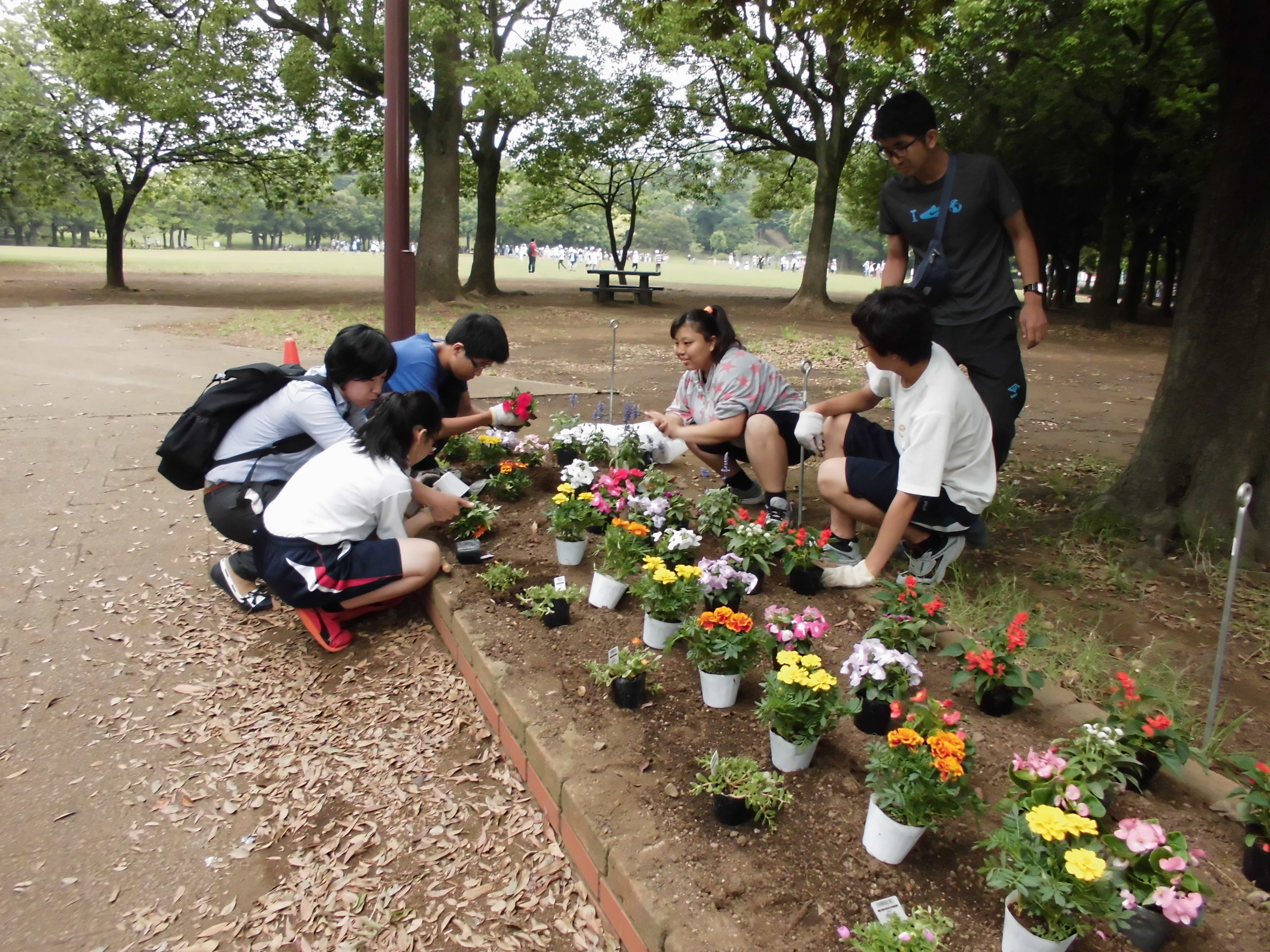 花壇づくり ブログ 岸根公園公式サイト 公益財団法人 横浜市緑の協会