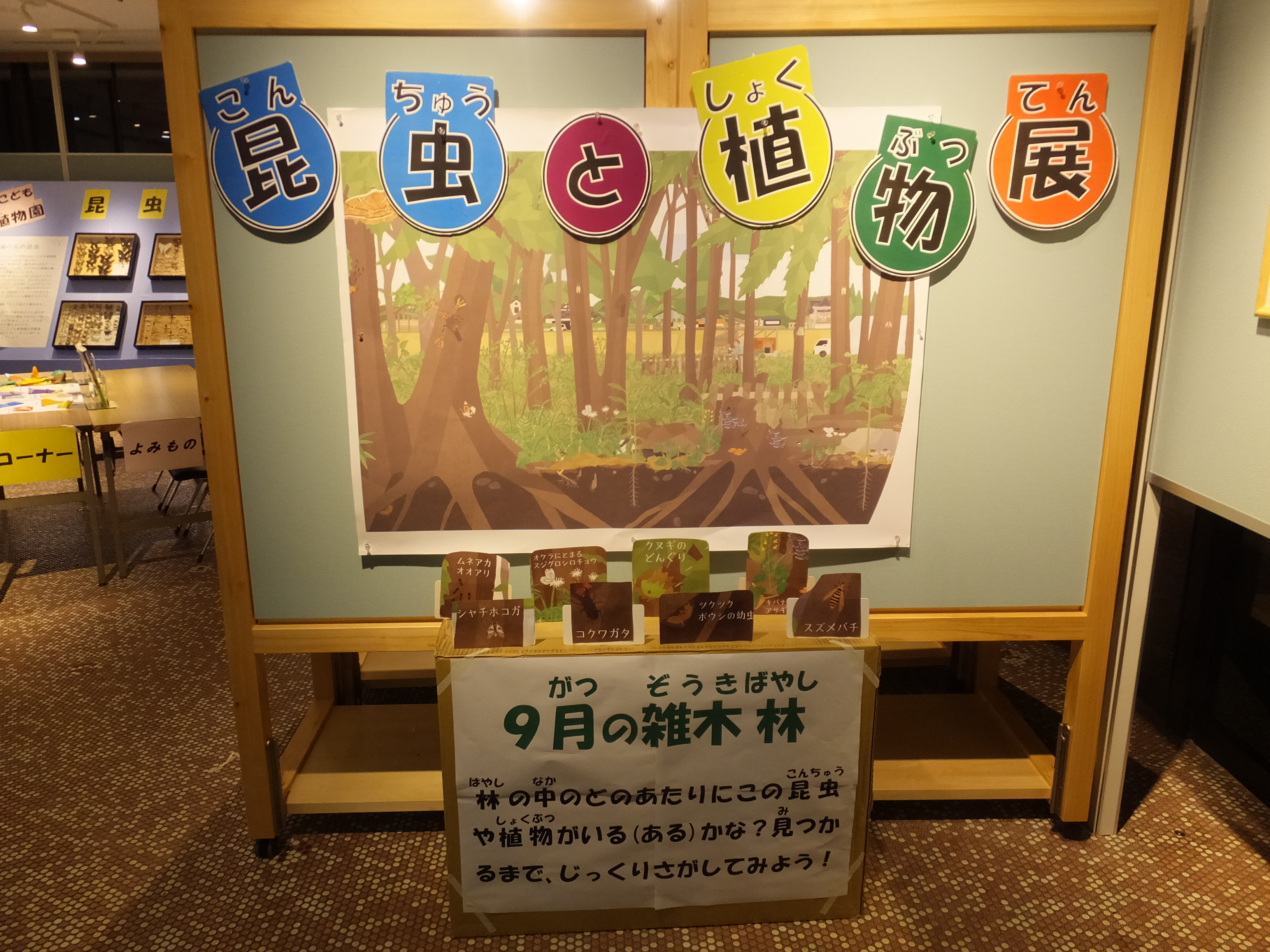 昆虫と植物展の写真