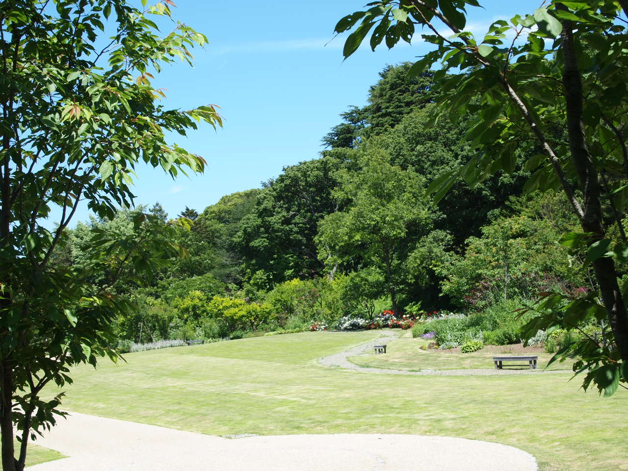 「俣野別邸庭園の芝生広場」の写真