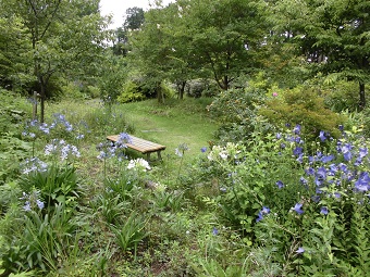 「梅雨の晴れ間」の写真