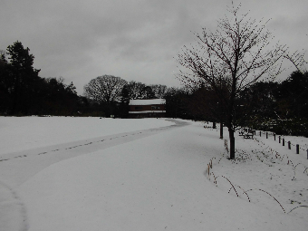 「雪化粧」の写真