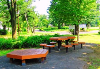 「公園の木陰で」の写真