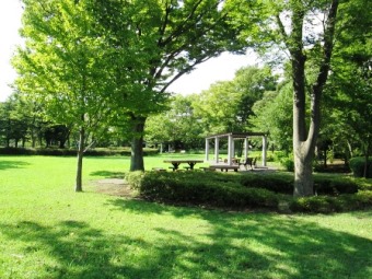 「9月の俣野公園」の写真