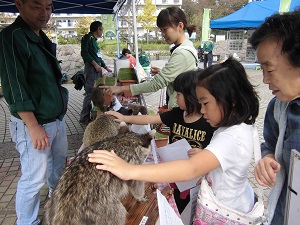 長浜公園学習ミニ祭りの写真