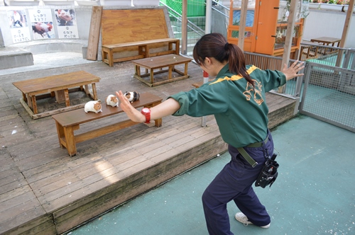 なかよし広場でもやってみました!!の写真