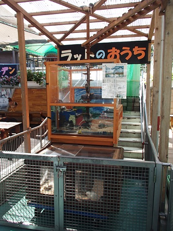 なかよし広場のおばあちゃんの写真