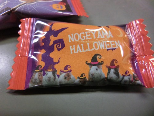 TRICK OR TREAT!!!の写真