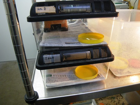 またまた近況のご報告の写真