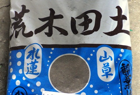 二枚貝の餌を工夫していますの写真
