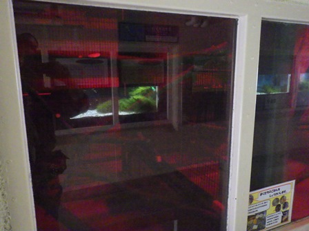 新担当 夜行獣舎の写真
