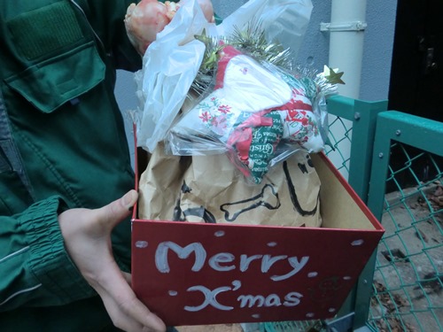 メリークリスマスの写真