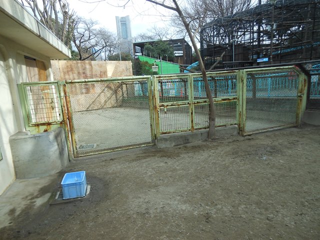 キレイになりましたの写真