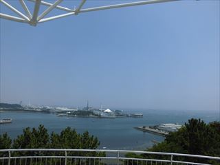 盛夏!の写真