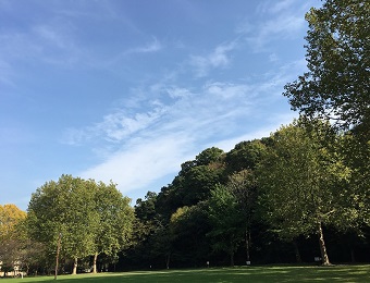 富岡総合公園のみどころ案内の写真