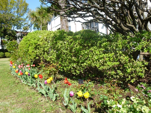 横浜市イギリス館