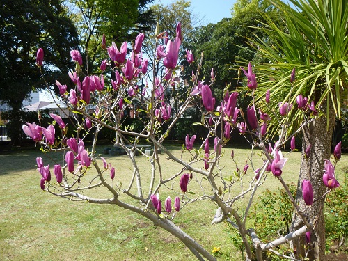横浜市イギリス館