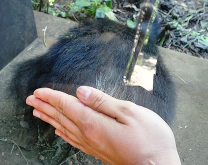 だ～れだ!の写真