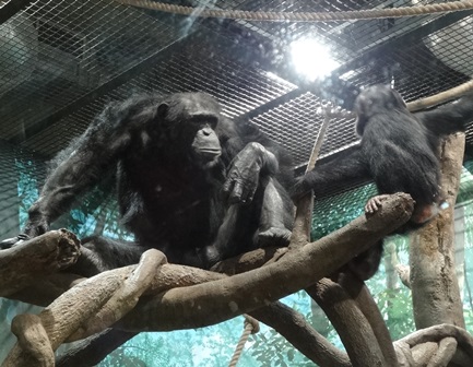 カズヤと子供 その2の写真