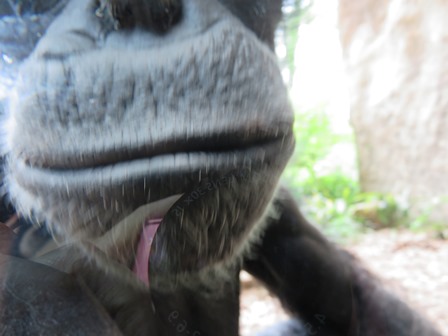 私はだーれだ!の写真