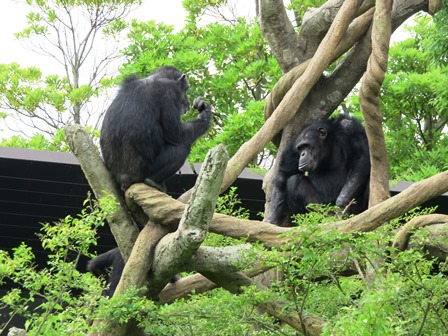 雨もひと休みの写真