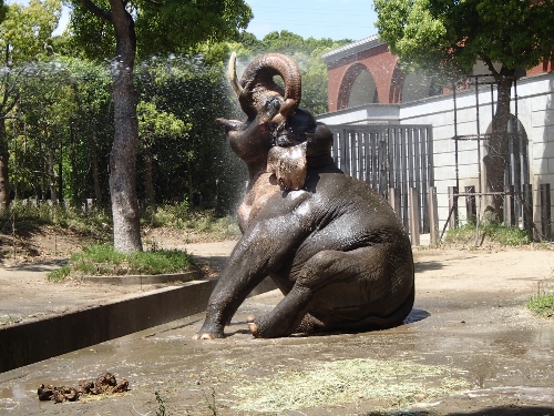 ラスクマル。の写真