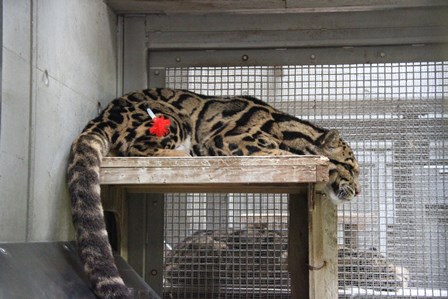 ジュールとイーナも旅立ちましたの写真