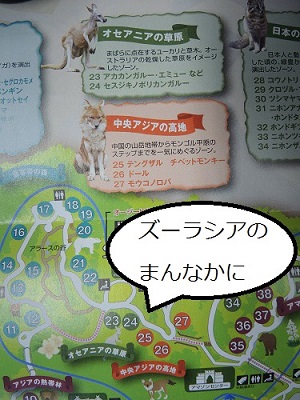 ♪世界に一つだけのズーラシア♪の写真