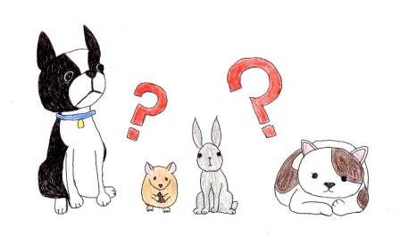 うんちに注目してみよう!の写真