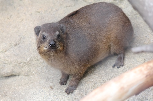にっこにこ♪の写真