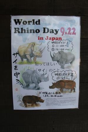 「世界サイの日」に初参加しました!の写真