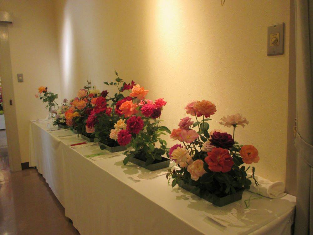 1103 　234　 ③　横浜バラ展.JPG
