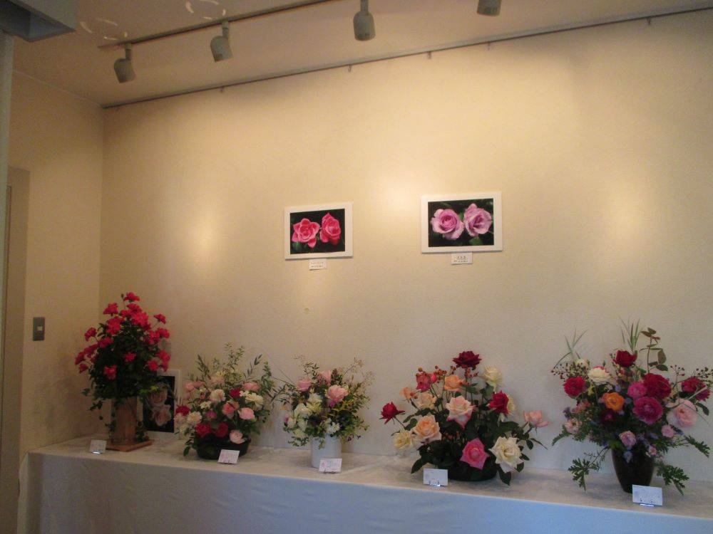1103　234 　②　横浜バラ展.jpg