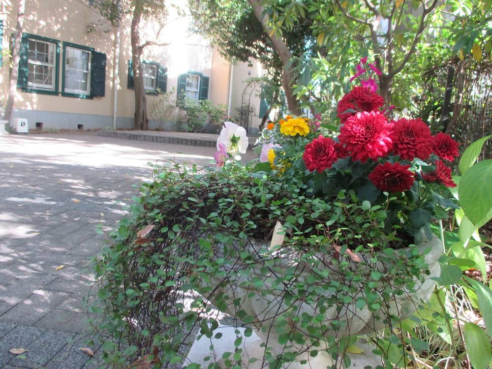 1116 234 ② プランター.jpg