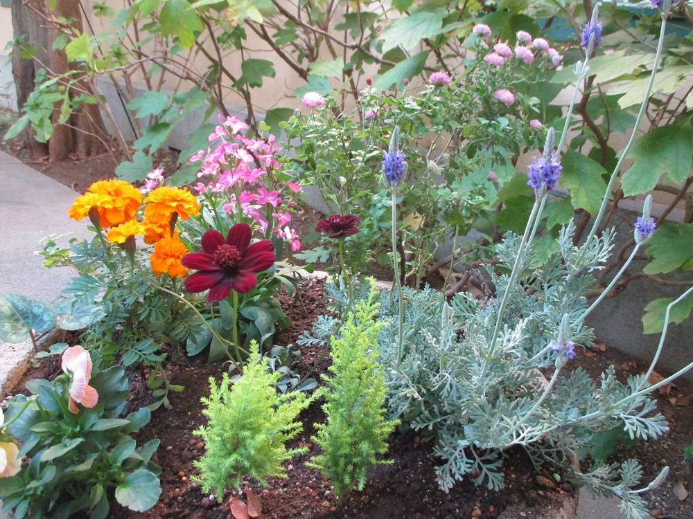 1116 234 ③ プランター.jpg