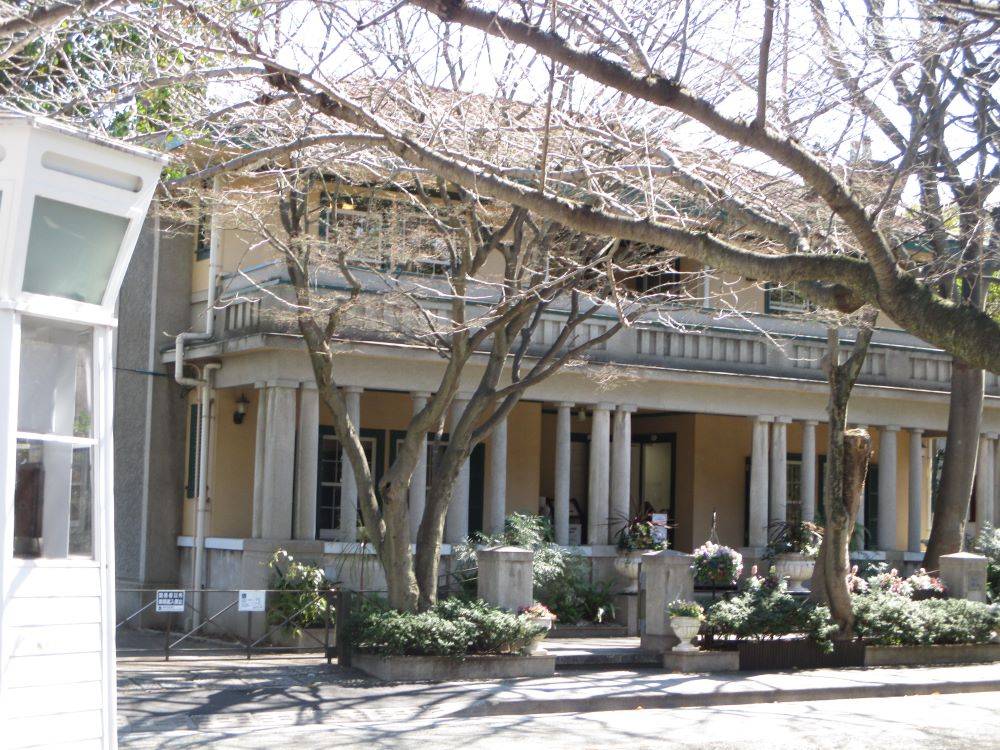 0313 234 ②　桜.jpg