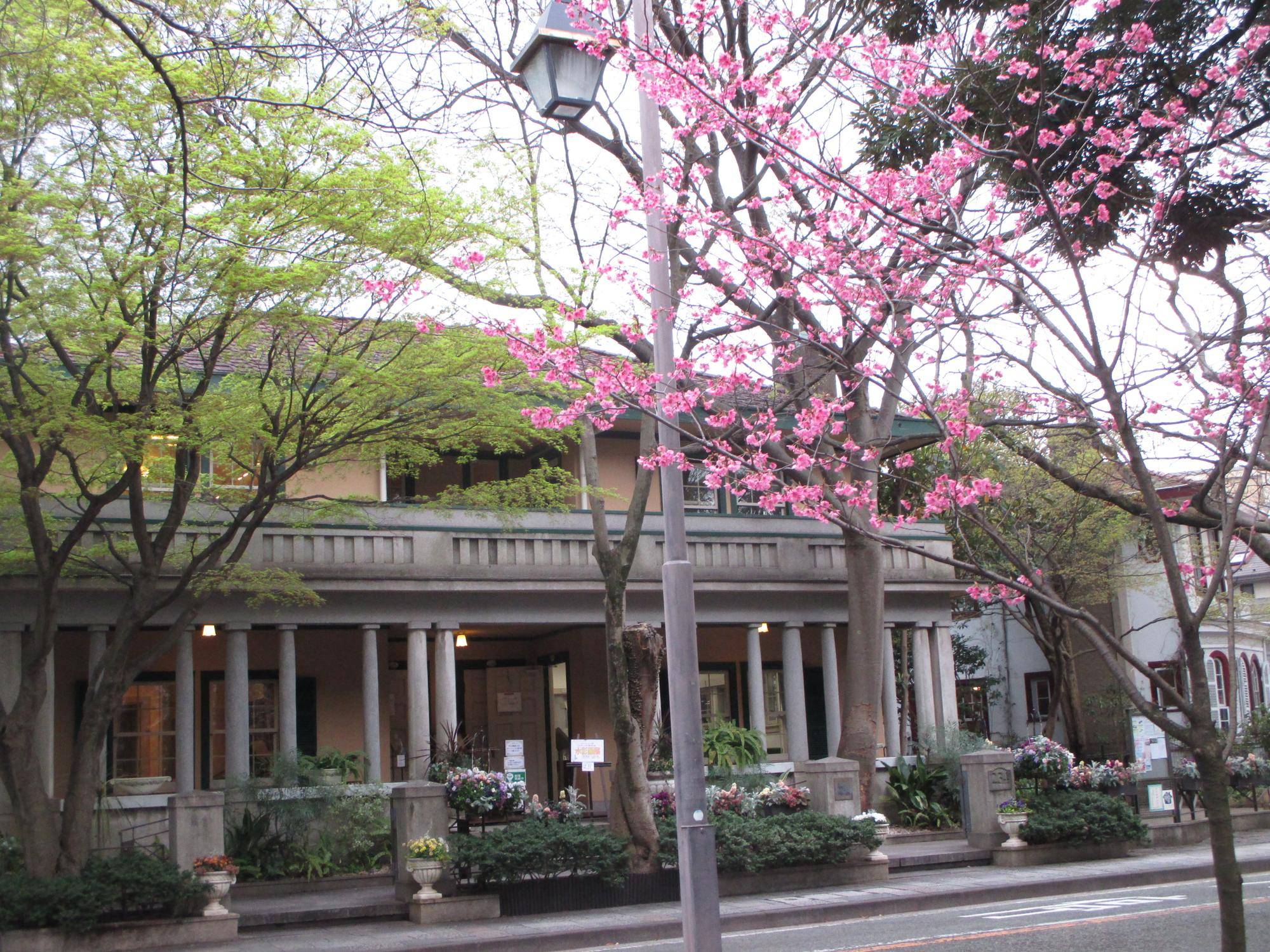 0401山手234番館①緋桜.JPG