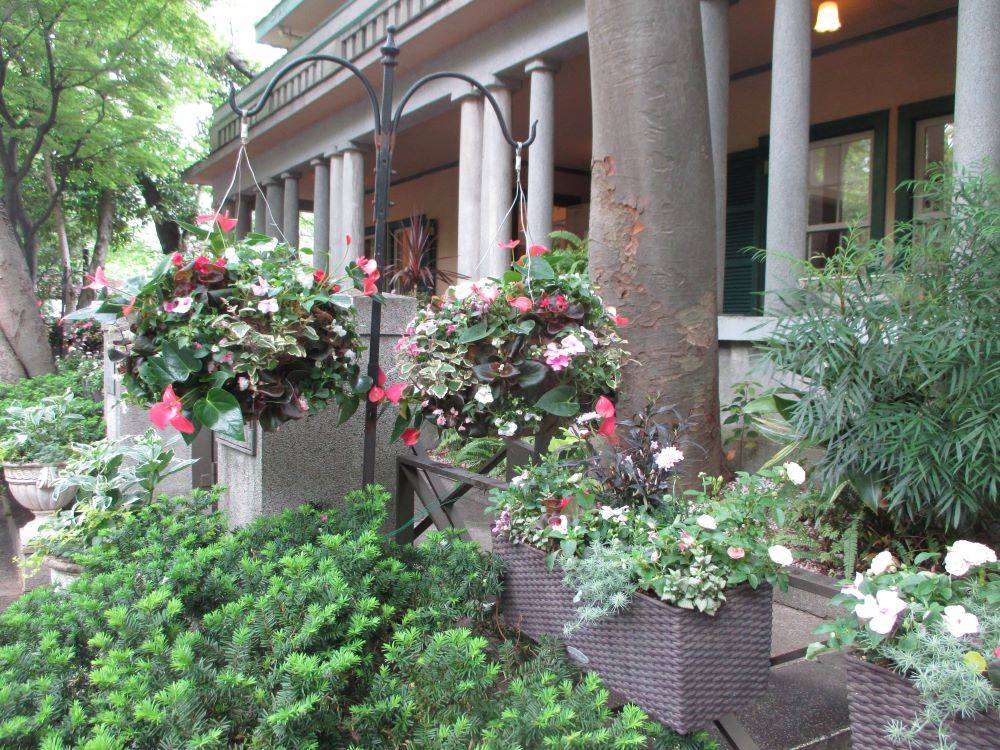 0427 234 ①　ハンギングバスケットの植替え.jpg