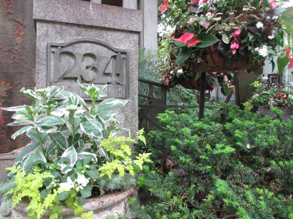 04287234 ③　ハンギングバスケットの植替え.jpg