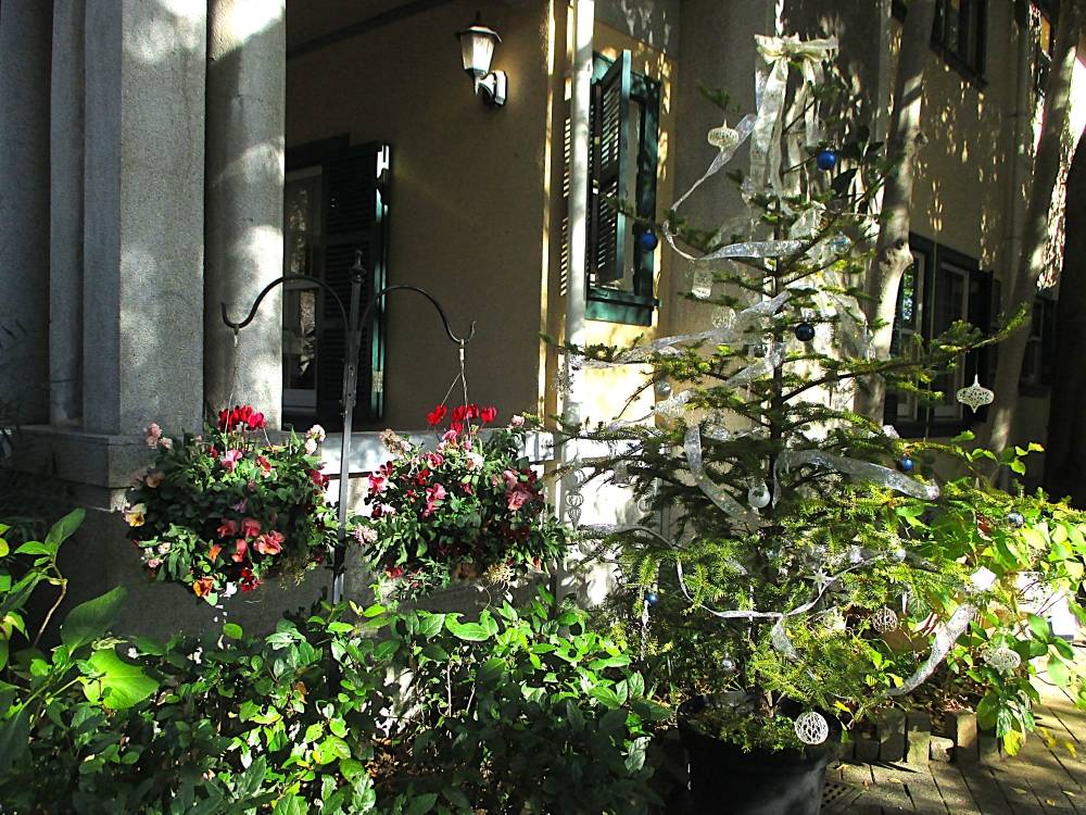 1130 234 ② ツリー＆ハンギング.JPG