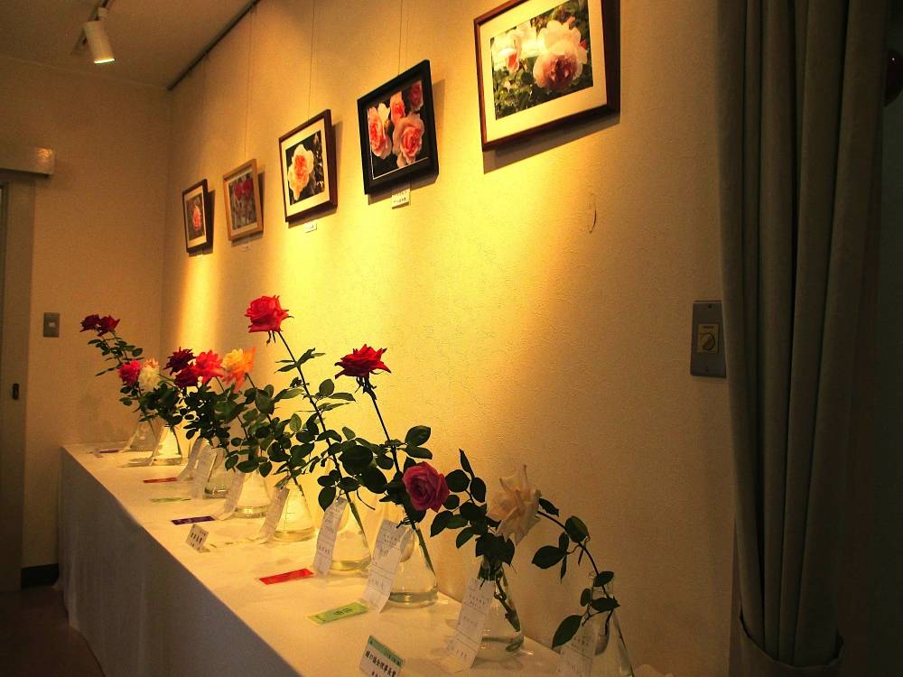 1102 234 ④ ギャラリー展示_.JPG