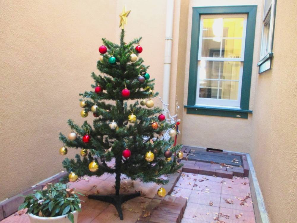 1130 234 ⑤ 光庭.JPG