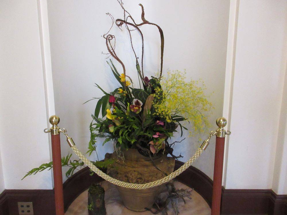 横浜市イギリス館 春の寄せ植え|（横浜市イギリス館）｜ブログ