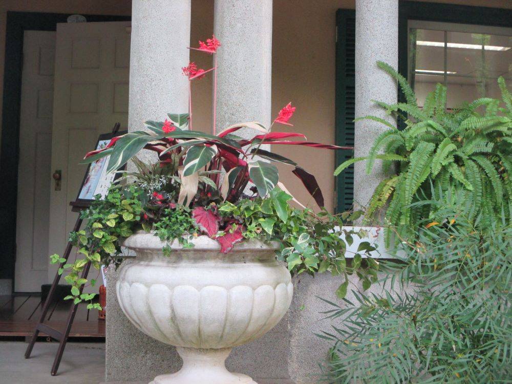 0428 234 3　ハンギングバスケット・プランターの植替え.JPG