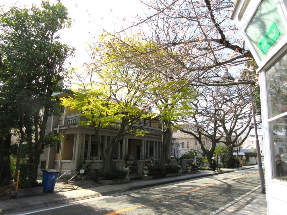 0327 234 ⑦ 館全体.JPG