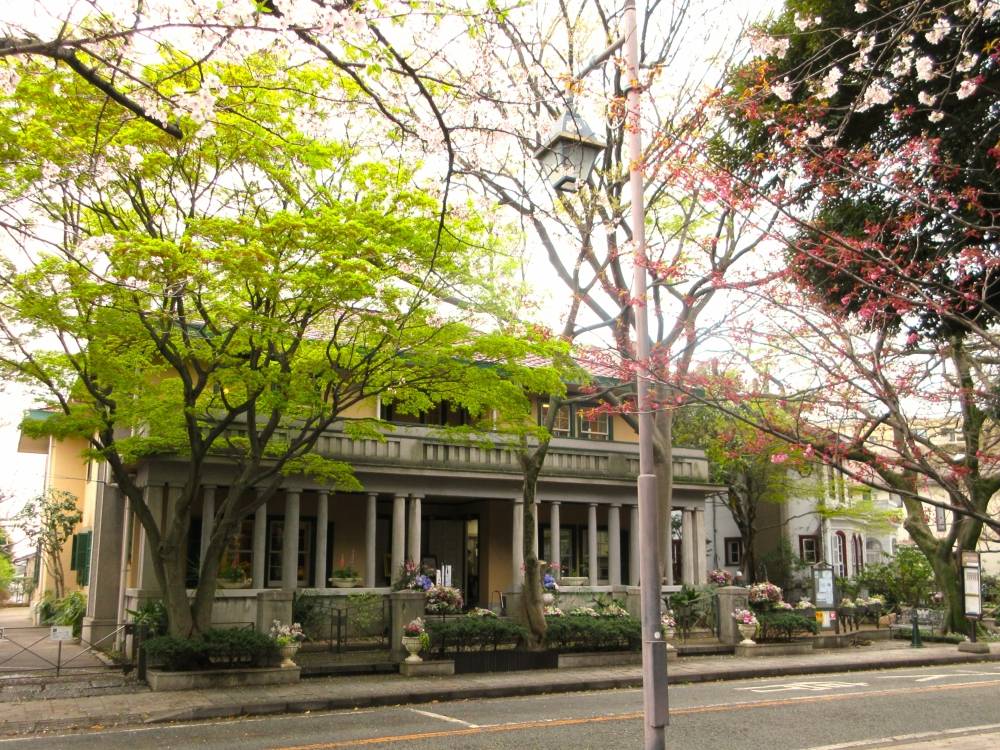 0401 234 ④ モミジ.JPG