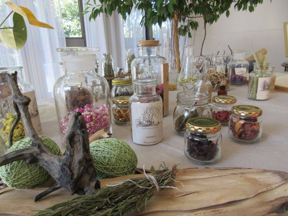 1017⑧ハロウィン装飾寝室ポーチ薬草(イギリス館) .jpg