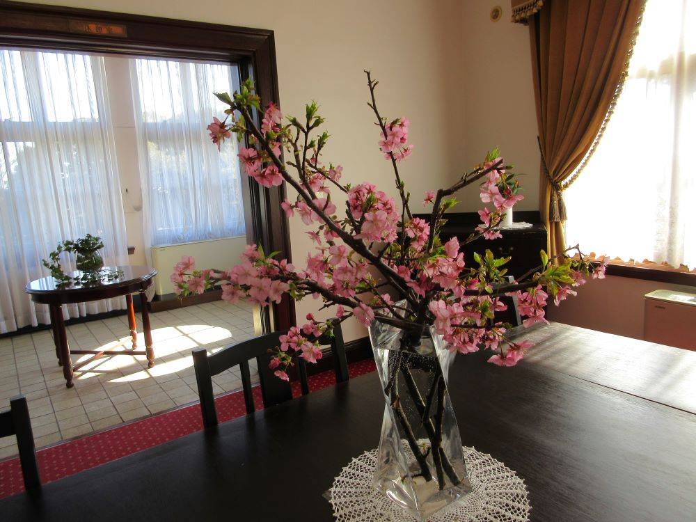 0210-2F展示室に河津桜①(イギリス館).JPG