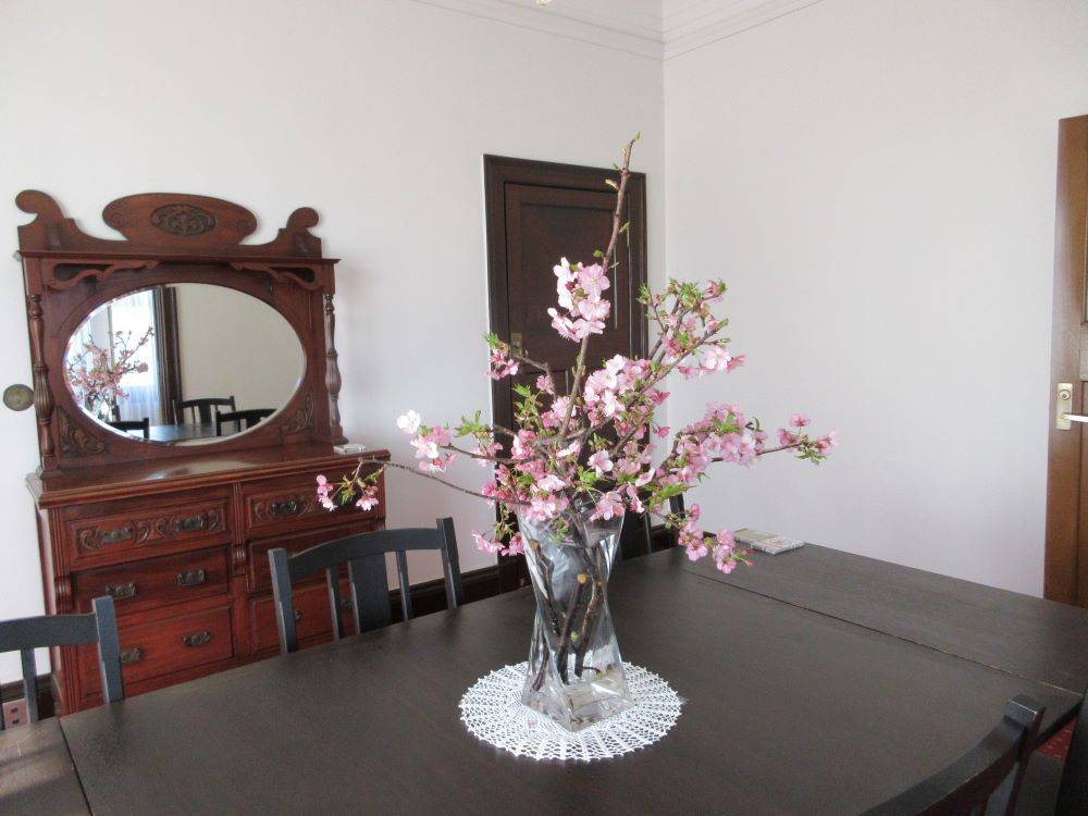 0210-2F展示室に河津桜②(イギリス館).JPG