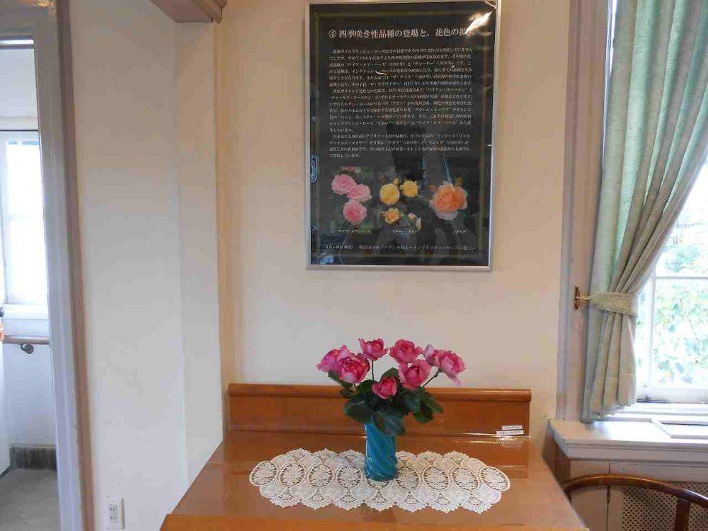 R6-4月イングリッシュローズのパネル展(111番館) (4).jpg